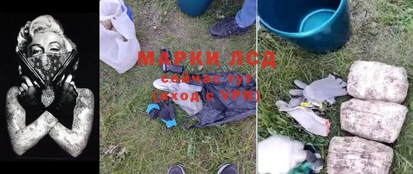 стаф Вязники