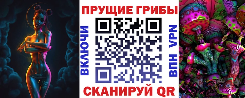 где продают Георгиевск Псилоцибиновые грибы MAGIC MUSHROOMS