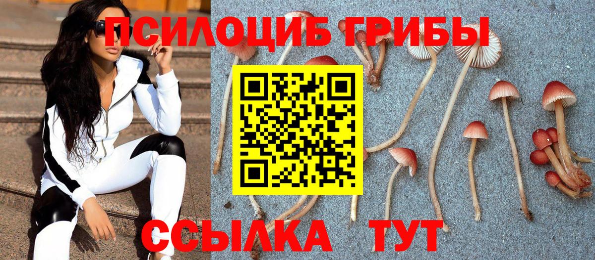 Галлюциногенные грибы MAGIC MUSHROOMS  Георгиевск 